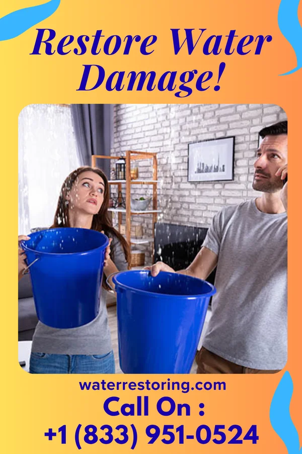 water restoration Expert Drying Partners New Washington