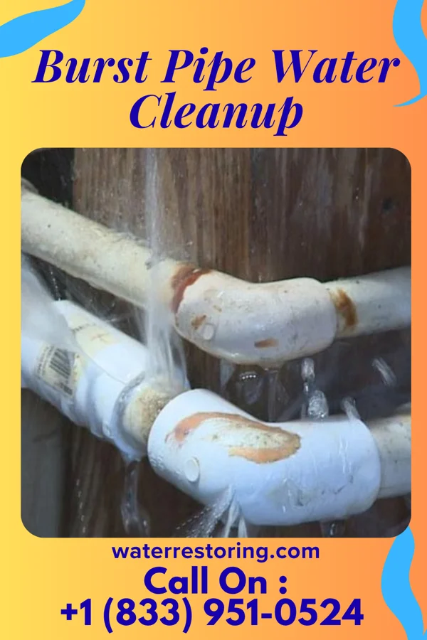 Burst Pipe Water Cleanup in New Washington, PA
