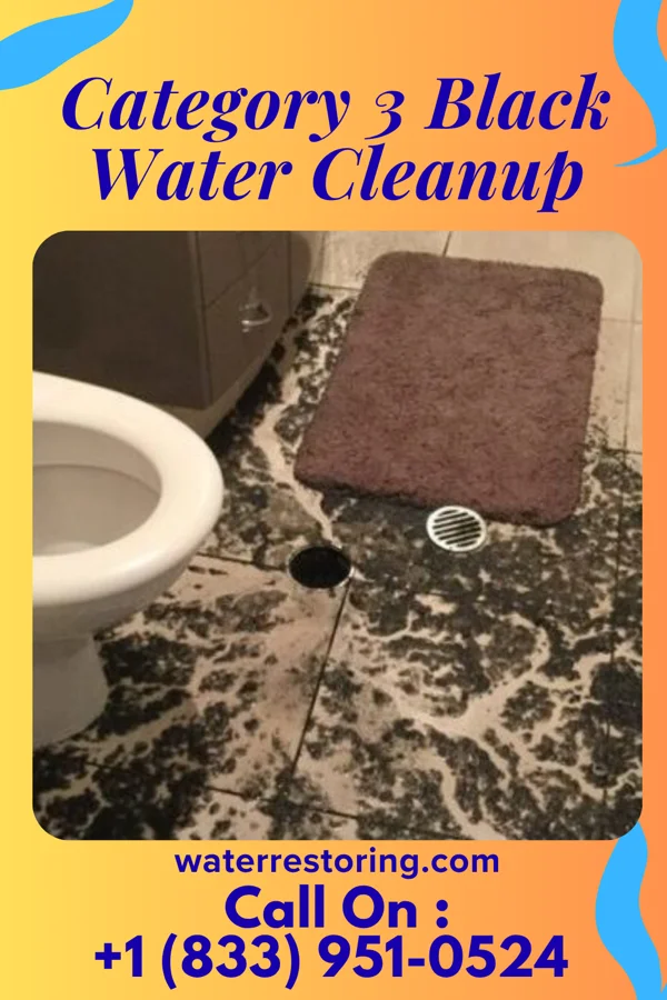 Category 3 Black Water Cleanup in New Washington, PA