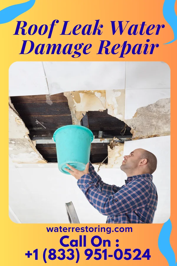 Roof Leak Water Damage Repair in New Washington, PA