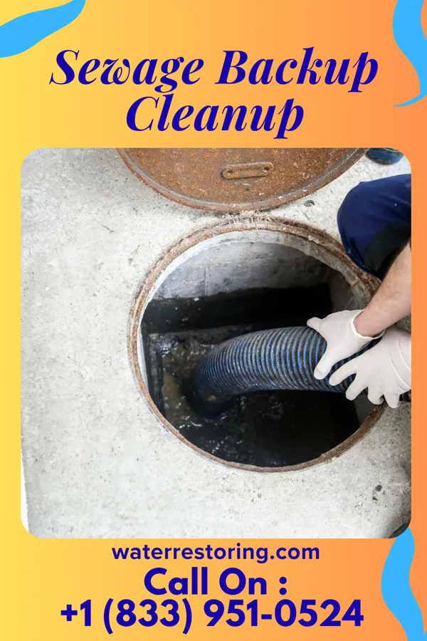 Sewage Backup Cleanup in New Washington, PA